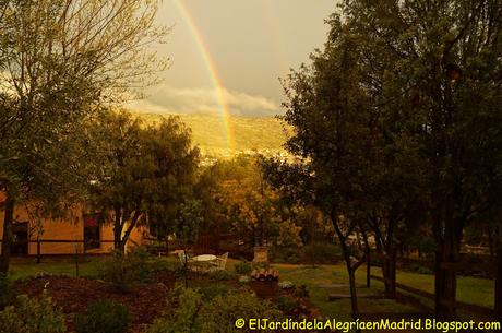 La magia del arcoiris La magia del arcoiris