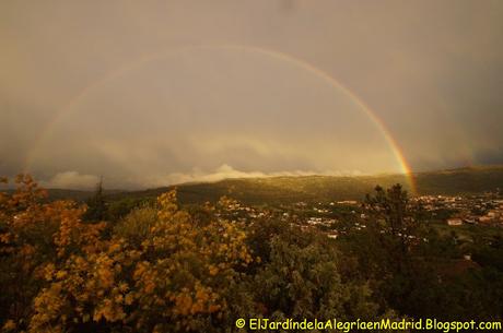 La magia del arcoiris La magia del arcoiris