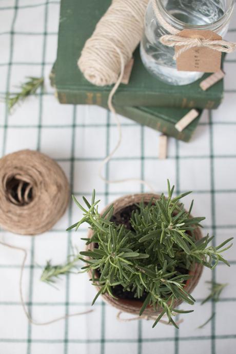 DIY: Tunea un un macetero de terracota y dejalo así de chulo...BUENO, BONITO Y BARATO!