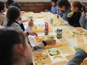 AlleREACT: registra tus reacciones alérgicas a alimentos AlleREACT cuestionario reacciones alérgicas a alimentos