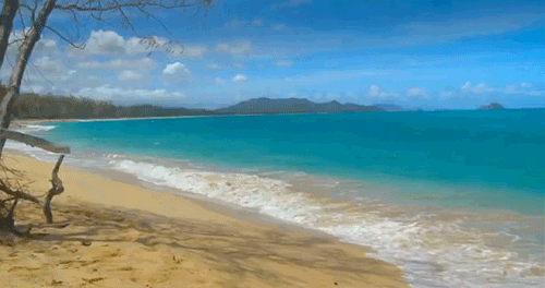 15 señales de que te encanta viajar al Sudeste Asiático giphy-3