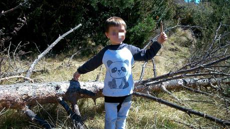 Un panda presumido Un panda presumido