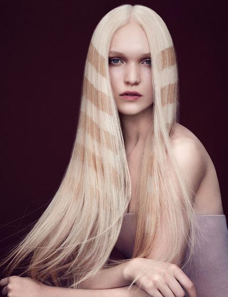 4 Formas de Tener a Tu Pelo Contento 4 Formas de Tener a Tu Pelo Contento