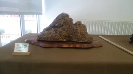 Exposición de la ASOCIACIÓ BONSAI DEL VALLES a Can Palet 2016 Exposición de la ASOCIACIÓ BONSAI DEL VALLES a Can Palet 2016