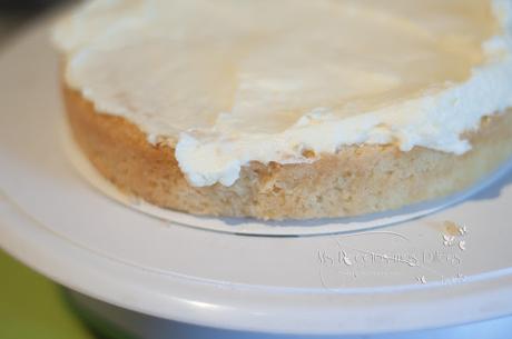 BIZCO-CHEESECAKE BIZCO-CHEESECAKE