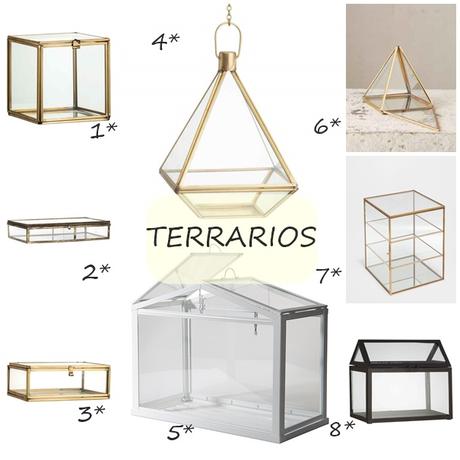 DECORANDO CON... TERRARIOS DECORANDO CON... TERRARIOS
