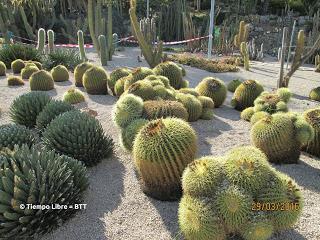 Gavà - Ronda Verde de Barcelona - Gavà. 29/03/2016