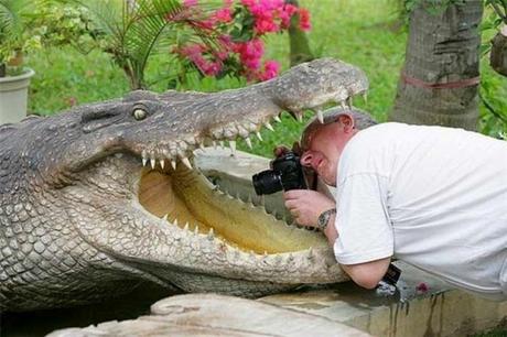 20 Fotógrafos que están dispuestos a todo por la toma perfecta fotografos-foto-perfecta (2)