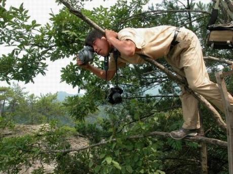 20 Fotógrafos que están dispuestos a todo por la toma perfecta fotografos-foto-perfecta (6)