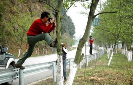 20 Fotógrafos que están dispuestos a todo por la toma perfecta fotografos-foto-perfecta (10)