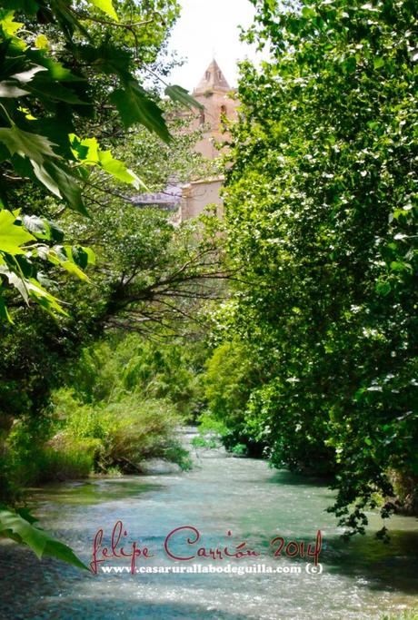 “Birding tour” en Alcalá del Júcar La Iglesia de San Andrés y el Río Júcar