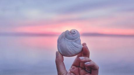 Rose Quartz vs. Serenity Blue Rose Quartz vs. Serenity Blue