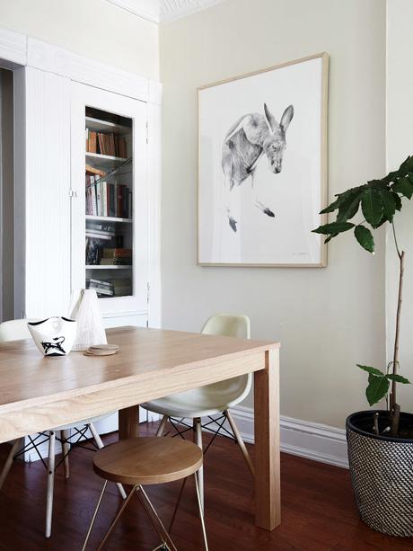 Decoración Fresca y Suave con plantas Decoración Fresca y Suave con plantas
