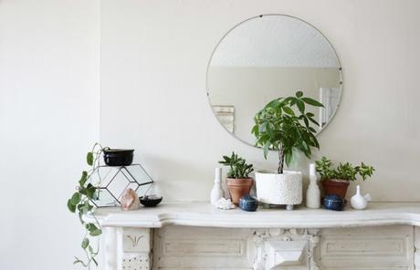 Decoración Fresca y Suave con plantas Decoración Fresca y Suave con plantas