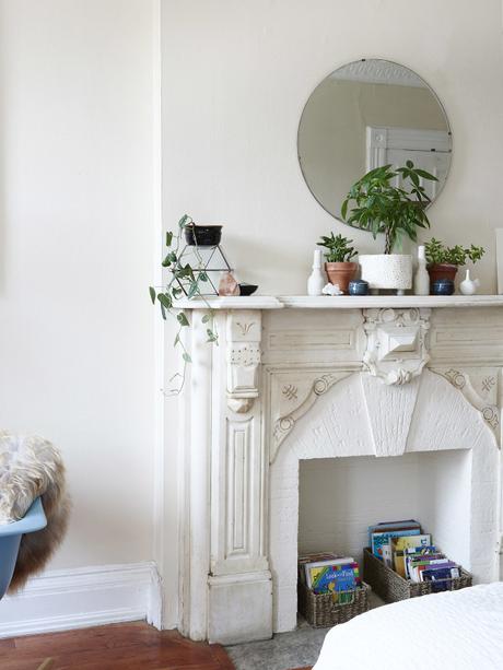 Decoración Fresca y Suave con plantas Decoración Fresca y Suave con plantas