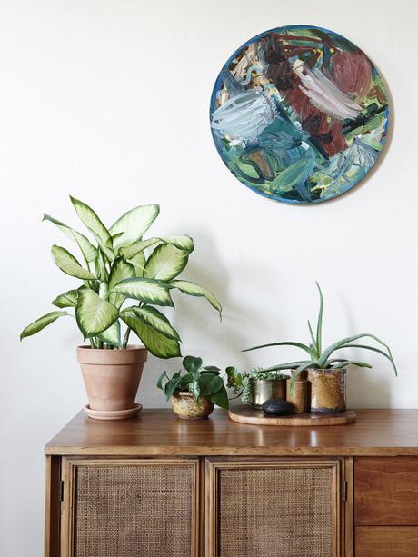 Decoración Fresca y Suave con plantas Decoración Fresca y Suave con plantas