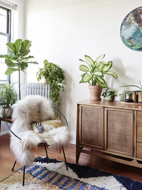 Decoración Fresca y Suave con plantas Decoración Fresca y Suave con plantas