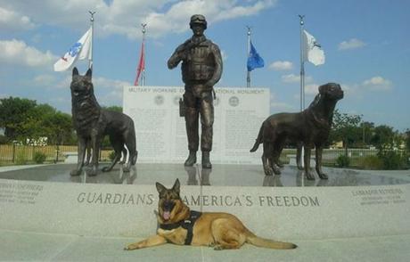 Lucca, perro condecorado con medalla militar