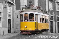Trenes y tranvías http://www.diariosdeunfotografodeviajes.com/2012/11/cazando-tranvias-en-lisboa.html