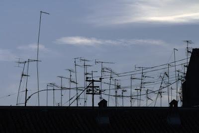 Bosque de antenas bosque de antenas