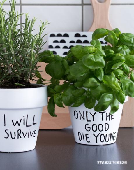 8 Trucos para renovar la cocina sin gastar mucho. 8 Trucos para renovar la cocina sin gastar mucho.