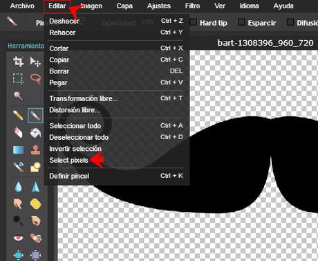 pixlr seleccionar editar y pincel