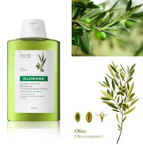 Champú al Extracto Esencial de Olivo de KLORANE en FARMAPOLO Champú al Extracto Esencial de Olivo de KLORANE en FARMAPOLO