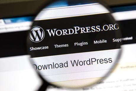 Si ya has decidido que tu blog va a estar en Wordpress y ...