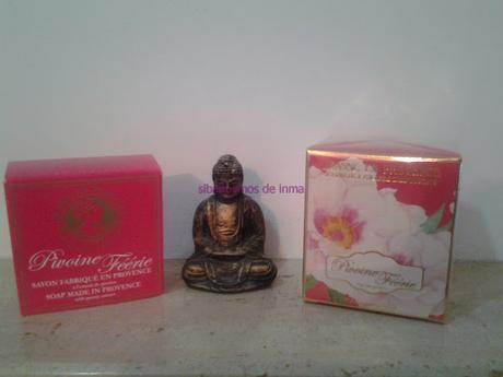 NOVEDAD PIVOINE FEÉRIE DE JEANNE EN PROVENCE NOVEDAD PIVOINE FEÉRIE DE JEANNE EN PROVENCE