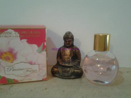 NOVEDAD PIVOINE FEÉRIE DE JEANNE EN PROVENCE NOVEDAD PIVOINE FEÉRIE DE JEANNE EN PROVENCE