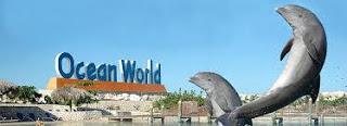 Ocean World celebra sus 12 años en la República Dominicana