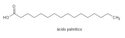 Estructura química del ácido palmítico ácido palmítico