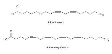 principales ácidos grasos Omega-6 principales ácidos grasos Omega-6