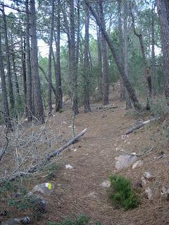 Pico de La Ràpita Pico de La Ràpita