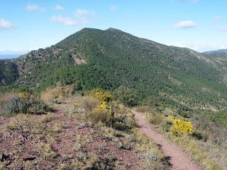 Pico de La Ràpita Pico de La Ràpita