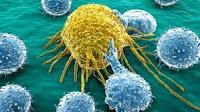 Como se Comunican las Celulas Cancerigenas con las Sanas