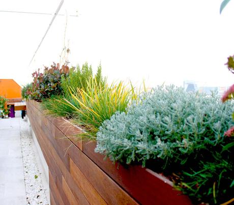 Terraza Jardín para el Mes Mundial de la Arquitectura del Paisaje Terraza Jardín para el Mes Mundial de la Arquitectura del Paisaje