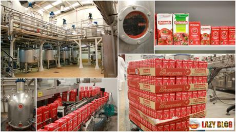 Lasaña de salchichas para niños y visita a la fábrica de Orlando Lasaña de salchichas para niños y visita a la fábrica de Orlando