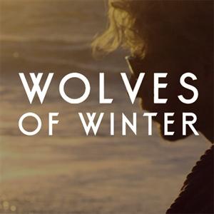 BIFFY CLYRO - Wolves of Winter