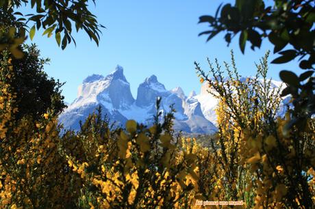 Paisajes de Chile: Torres del Paine torres del paine