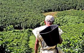 Primer plan de exportación de educación de café en COLOMBIA descarga