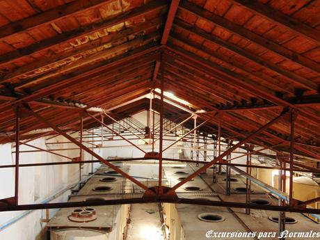 La Bodega de los Sueños (Sin Localización) La Bodega de los Sueños (Sin Localización)