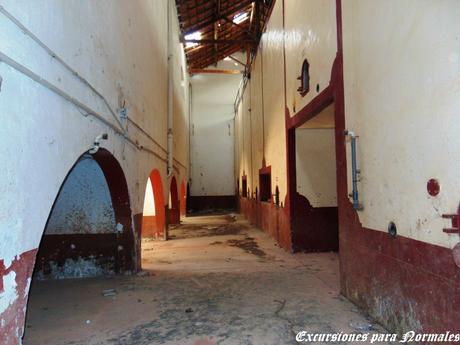 La Bodega de los Sueños (Sin Localización) La Bodega de los Sueños (Sin Localización)