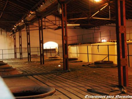 La Bodega de los Sueños (Sin Localización) La Bodega de los Sueños (Sin Localización)