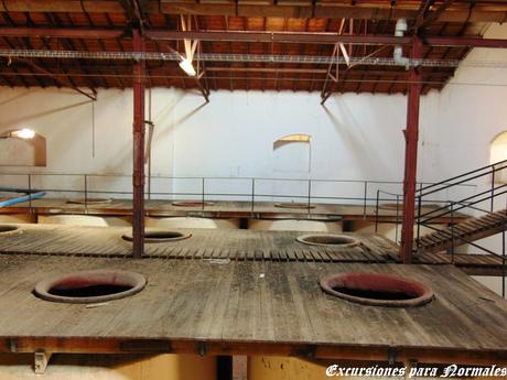 La Bodega de los Sueños (Sin Localización) La Bodega de los Sueños (Sin Localización)