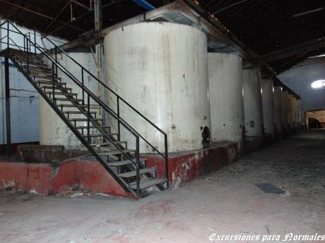 La Bodega de los Sueños (Sin Localización) La Bodega de los Sueños (Sin Localización)