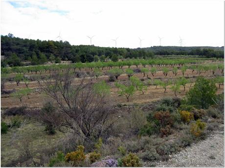 Recorrido por la naturaleza Recorrido por la naturaleza