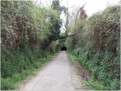 otro túnel al final del pasillo otro túnel al final del pasillo