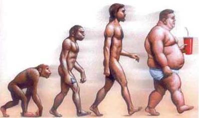 Evolución