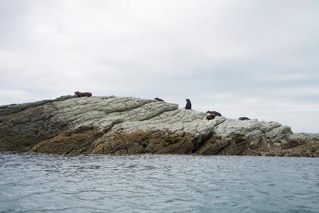 Kaikoura entre las nubes